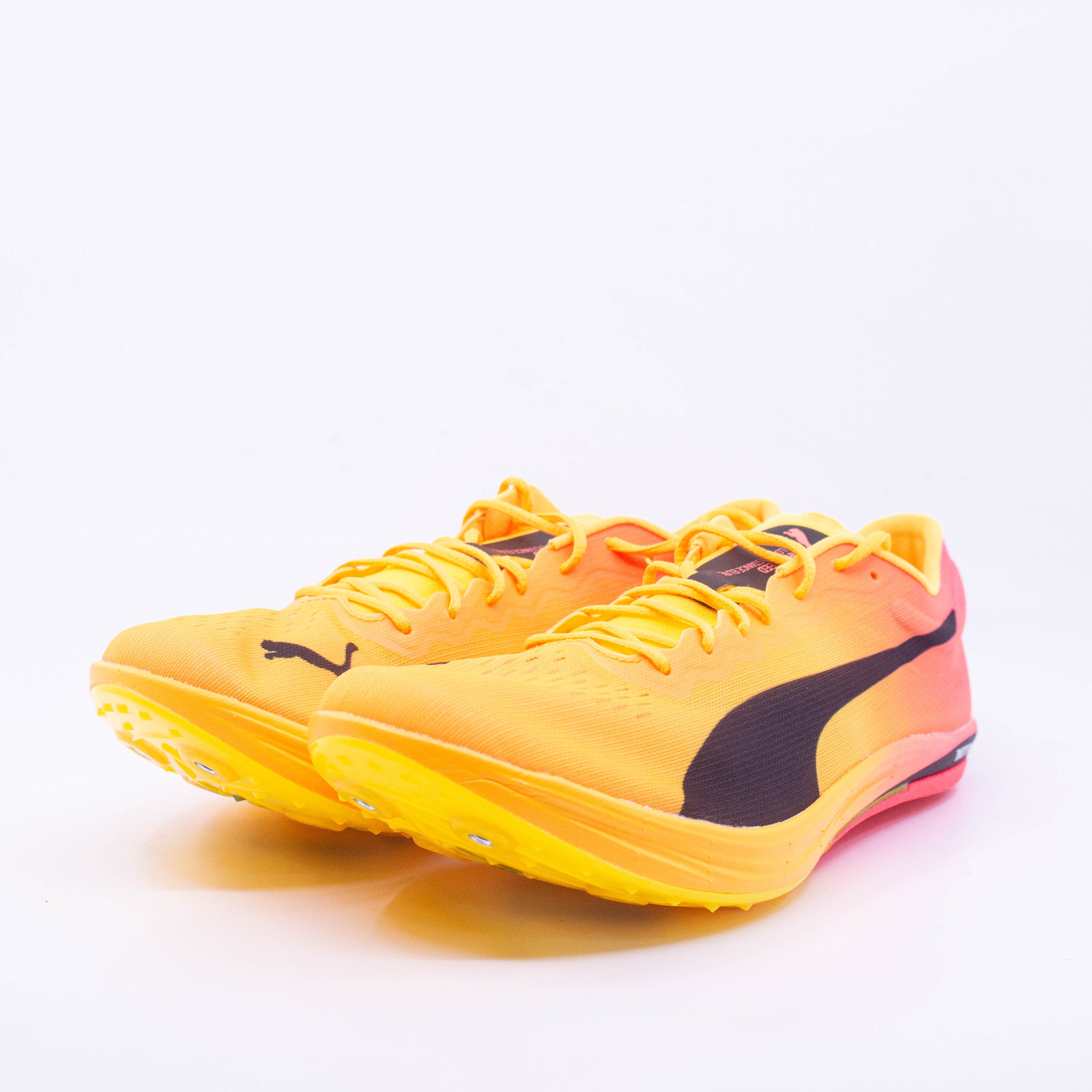 Puma EvoSPEED Long Distance Nitro Elite 2 Spike (D Standard) Mens) - Frontrunner Colombo